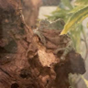 Meet your Posher, Ella